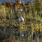 CIM Gartenstecker - Mirror 5K Edelstahl Matt – Höhe: 180cm - Edelstahl-Kugeln - Vielseitige Haus und Gartendekoration
