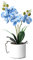Alyphyly Artificial Flower Bonsai with Vase Vivid Orchid Flower Arrangement Phalaenopsis Flowers Pot for Home Office Décor Table Centerpiece House Decorations(Ceramic Pot/Blue Orchid)