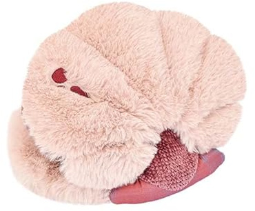 Meeres-Terrassen – Muschel