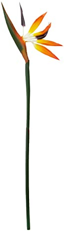 Premier Housewares Bird of Paradise - 92cm / Large Bird Of Paradise Artificial Succulent Plants/Pucculent plants With Long Stem/Large Succulent Plant / W20 x D4 x H92cm