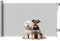 PawHut Barrera para Perros Retráctil 0-140 cm Puerta para Perros Pequeños Extensible Barrera de Seguridad para Mascotas con Interruptor de Cierre para Escaleras Puertas Pasillos Gris