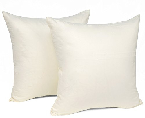 WOLTU 2er Set Kissenbezug 30x30 cm Creme 100% Baumwolle, Nur Kissenbezug - Kissenbezüge Kopfkissenbezug mit Reissverschluss, Weicher Sofakissenbezug, Doppelpack Dekokissenbezug