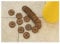 Torfquelltöpfe / Torfquelltabs classic floraworld Ø3,5cm 20 Stück