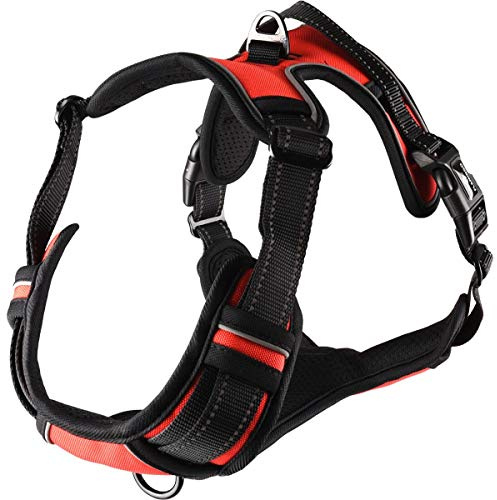 Flamingo Hundegeschirr - hundegeschirr Grosse Hunde - 40–62cm A. Brust / 60–85cm B. Bauch Harness Balou Rot L