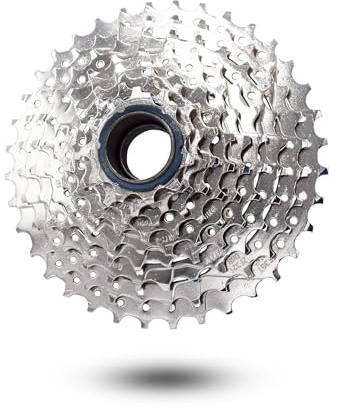 DRIFT MANIAC 9-Gang-Freilauf 11-36 zum Anschrauben für E-Bike-Nabenmotor