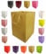 Glossy Vibrant Flower Gift Bag, Bouquet Vase | Valentines | Anniversary | Love | Transportation Display (1, Gold)