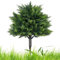 Künstliche Zedernholz-Formschnittbäume - 60 Cm Künstliche Zypresse | Künstlicher Zedern-Formschnittbaum Für Den Außenbereich | Künstliche Zedern -Topiary -Bäume - Faux Ceder Topiary Bäume | 2ft Zypres