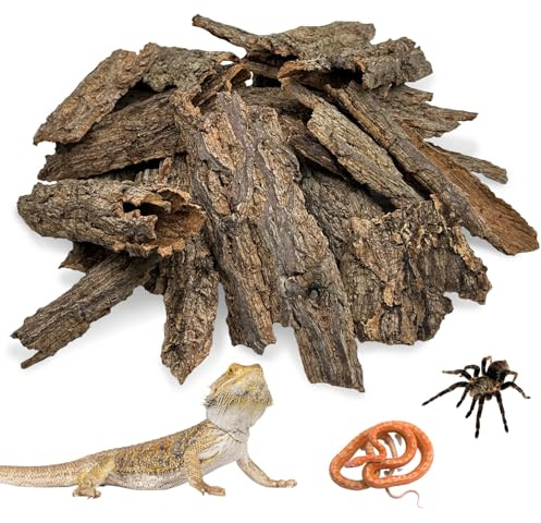 Apatal Reptilienkorkenrinde Bulk 0,7 kg Korkholz für Terrarium, Natur Flachkork Einstreu Terrarium Substrat für Bartagamen, Schlangen, Spinnen, Einsiedlerkrebse, Geckos, Schildkröte