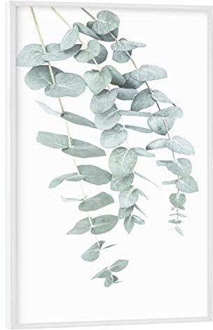 artboxONE Poster mit weißem Rahmen 30x20 cm Prints & Kunstdrucke Natur Eucalyptus I - Bild eukalyptus