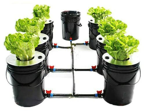 Futchoy Deep Water Culture Hydroponic DWC System 5 Gallon 7 Bucket Kit DWC Hydroponic System Grow Kit per piante utili, verdure, insalate, piante ornamentali