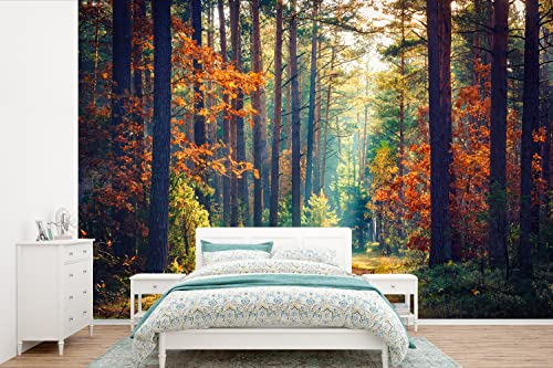 Selbstklebend Tapete Wandpapier Wandaufkleber Fototapete Tapeten Wanddeko 360x240 cm Wald - Sonne - Natur - Herbst