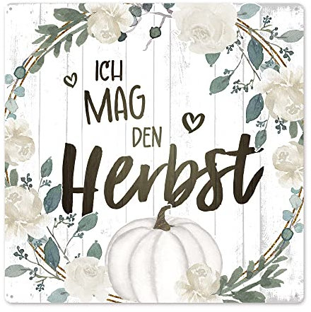 Interluxe Schild Metallschild 20x20cm - Ich mag den Herbst - Herbstdeko Herbstschild weißer Kürbis Baby Boo Pumpkin Landhaus scandi