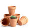OLEEP Vaso di argilla – Confezione da 6 grandi vasi di terra cotta con foro di drenaggio, vaso di terracotta per piante da interni ed esterni (16 cm)