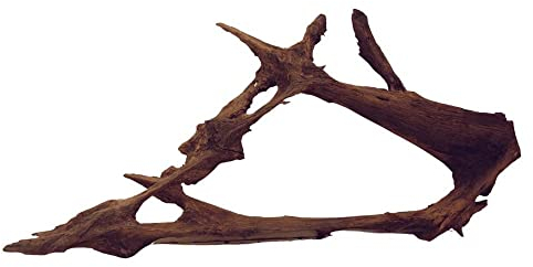 XXL Mangrovenwurzel Nr.5973 Aquarium Wurzel Mangrove Holz Deko Aquascaping Dekoration Landschaft Moos Natur Echtholz