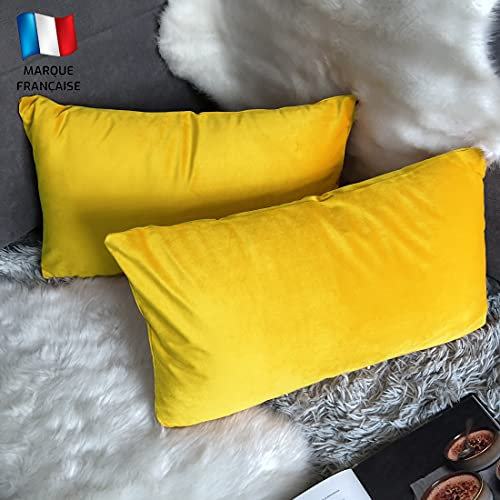 Douceur De Plumes 2er Set Gelber Samtkissenbezug 40x80 cm Einfacher, weicher und moderner Kissenbezug, skandinavische Wohnzimmerdekoration Sofa Schlafzimmer Bettboden (2 Gelb)