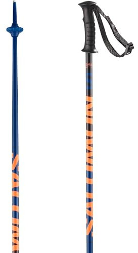 Salomon Unisex-Youth KALOO Alpine Poles, Blue, 90
