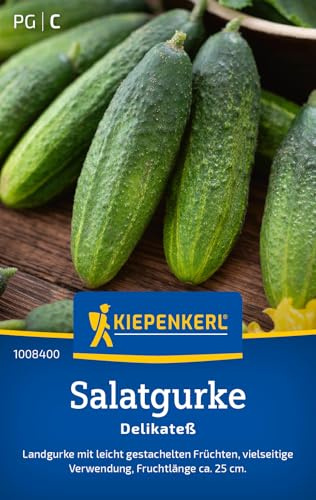 Kiepenkerl Salatgurkensamen Delikateß 1008400, Gemüsesaat | Landgurke, Inhalt für 60 Pflanzen, Wuchshöhe 30-120 cm, bitterfrei
