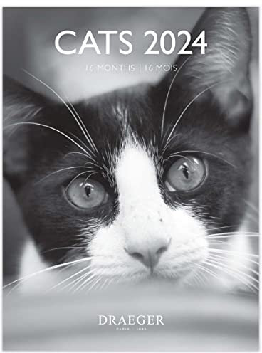 Draeger Paris 2024 - Calendario de pared (14 x 18 cm) - Cats black and white