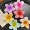 CHARMMYFASHION Lot de 6 pinces à cheveux en forme de fleur - 8 cm - En acrylique,pince cheveux fleur,Dégradé - Grandes pinces à cheveux douces - Pinces à cheveux épaisses pour femmes et filles