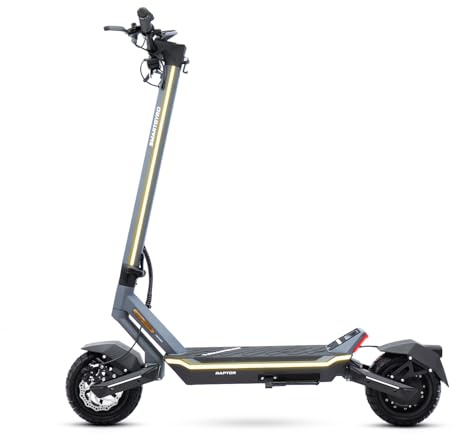 smartGyro Raptor EVO LR - Patinete Eléctrico de 48V, 1000W., 20000 mAh Ruedas de 10, Doble suspensión del. y Tras., Triple Frenada, App, Morado (1000W 20 mAh)