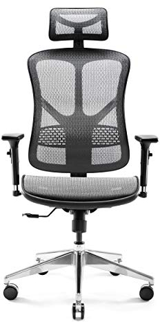 Diablo V-Basic Bürostuhl Ergonomisch Schreibtischstuhl Drehstuhl mit integrierter Lendenwirbelstütze 3D Armlehnen Verstellbare Kopfstütze Wippfunktion Höhenverstellbar (schwarz/grau)