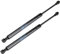 Amortiguador de gas, soporte de elevación de la tapa del portón trasero, puntal de resorte de gas para maletero, apto para 3 series E46 323Ci 2000-2000 Fit 3 series E46 323i 1999-2000