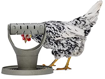 Beeztees Spiel- und Snackturm, Hühnerzubehör, Futterspender für Hühner, Spiel- und Snackturm 30x30x30 cm grau