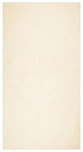 vidaXL Teppich, Wohnzimmerteppich Kurzflor Weich Waschbar, Moderner Teppich für Wohnzimmer Schlafzimmer, Flauschig Einfarbig rutschfest, Creme 80x150cm