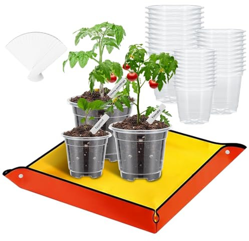 mizikuu 30 Stück Klare Anzuchttöpfe mit Pflanzmatte, 8.9cm 10.2cm 12.7cm Blumentopf Orchideentopf Transparent runder Übertöpfe mit Ablauflöchern für Samen, Setzlinge, Sukkulenten