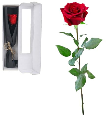 Junrvivy Ewige Rose Geschenke für Frauen - Infinity Rose am Stiel in Geschenkbox Rosen für Sie Mama Freundin, Konservierte Blumen Muttertag Weihnachten