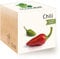 Feel Green 296237 Ecocube Chili, Bio Zertifiziert, Nachhaltige Geschenkidee (100% Eco Friendly), Grow Your Own/Anzuchtset, Pflanzen Im Holzwürfel, Made in Austria