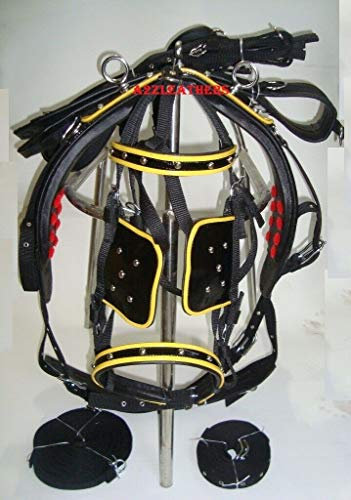 Equestrian Universum, synthetisches Lack-Nylon, mit gelbem Piepin, Größe - Pony