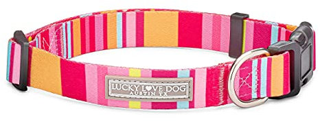 Lucky Love Dog Halsbänder | Bunte Hundehalsbänder für X-große Hunde | Niedliche Hundehalsbänder für Hündinnen und Rüden | Teil des Kaufs an Rettung gespendet (extra groß, Molly – Halsband)