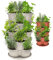 Amazing Creation Jardinière empilable, Verticale, pour Fraises, intérieur/extérieur, 5 Niveaux, pour la Culture de légumes, de Plantes Grasses (Blanc cassé)