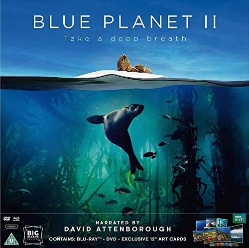 Blue Planet 2 Big Sleeve Edition Blu ray & DVD 12 Art Cards David Attenborough
