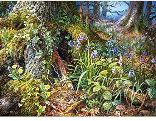 Castorland Puzzle 2000 pièces : De Rusland Woods