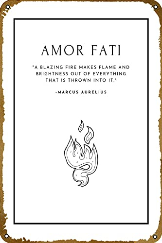 Amor Fati Stoicism Retro-Blechschild für Wanddekoration, 30,5 x 20,3 cm, Vintage-Poster, Kunstwerk, Geschenke für Zuhause oder Büro, Straße, Tor, Bars, Club, Restaurants, Cafés