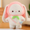 mzDxLy Niedliche Frucht Kaninchen Plüsch Puppe Rucksack Flasche Hase Puppe Mädchen Puppe Geschenk Kinder Geburtstagsgeschenk 45CM 1