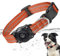 Airtag Hundehalsband, 100% Wasserdicht Integriertes Apple Air Tag Hundehalsbänder, Reflektierendes GPS Hundehalsband mit Hartem PC AirTag Halter Hülle für Kleine Mittlere Große Hunde (Orange)