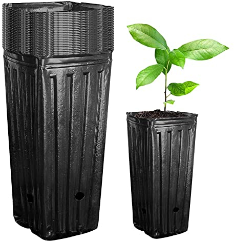 20 Vasi da Fiori Alti da 7,8 Pollici, Vasi di Partenza in Plastica Riutilizzabili Vasi da Fiori in Plastica Profonda Vaso Per Piante Alto Porta Bonsai Fioriera Succulenta (20PCS)