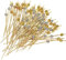 Cocktailspieße Holz Rührstäbchen Fingerfood-Spieße Holzspieße Partyspieße Cocktail Sticks Partypicker für Sandwich Grillgut Obst-Spieß Antipasti Pary 12CM 100 Stück