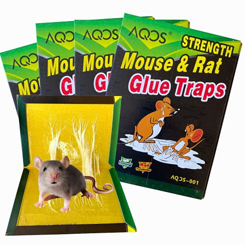 AQOS | Trampa para Ratones, Ratas, roedores, cepos, atrapa Ratones Vivos, ratoneras, Pegamento Extra-Fuerte, 4 trampas.