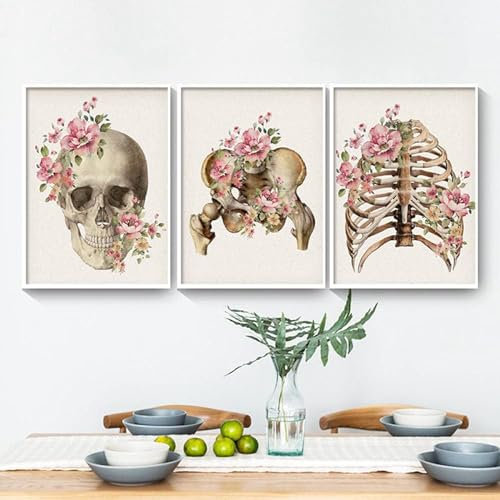 AWKFHF Blumen Skelett Anatomie Bilder,Medizinische Leinwandbild Poster Kunstdruck Klinik Krankenhaus Deko Bilder Wanddekoration - ohne Rahmen (3X30X50CM,ohne Rahmen)