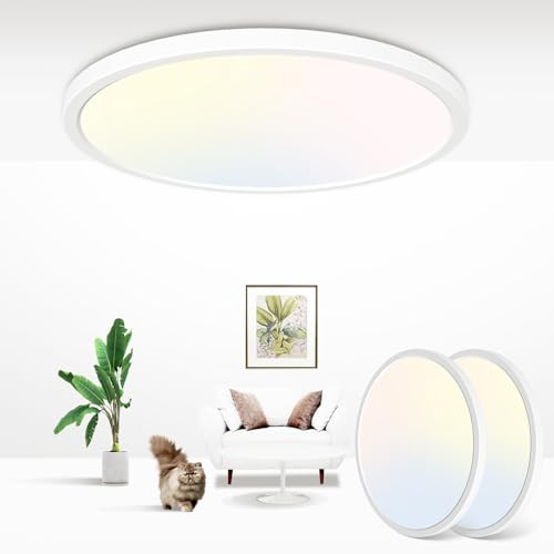 zemty [2 Stück Deckenlampe LED Deckenleuchte Flach Rund - 24W 2100LM 3000K/4500K/6000K Wählbar Modern Badlampe Decke Ultra Dünn Badezimmer Lampe für Flur Balkon Treppe Keller Ø 22 CM