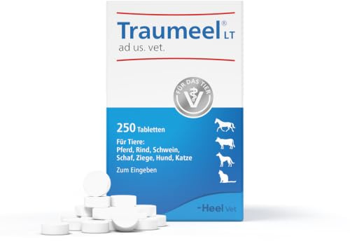 Traumeel LT ad us. vet. 250 Tabletten, Natürliches Tierarzneimittel | Für aktive Momente im Alltag, vielseitig einsetzbar, gut verträglich, für Hunde, Katzen & Pferde, Made in Germany
