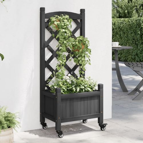 BaraSh Jardinera con Enrejado y Ruedas Madera Jardinera Madera Exterior maceteros Exterior jardineras Exterior Maciza de Abeto Negro - 3207646
