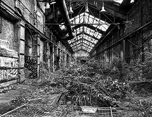 hansepuzzle 63885 - Lost Places Puzzle 1000 Teile - Orte-Puzzle mit hochwertiger Aufbewahrung: Kartonbox und wiederverschließbarem Beutel - Format 60 × 46 cm