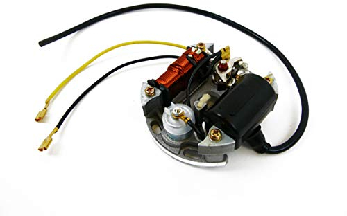 Zündung 6V 17W Ersatzteil für/kompatibel mit Kreidler Flory Florett Mofa Moped mit Bosch Lichtmaschine