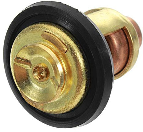 Sensore Termostato Motore, Termostato Liquido di Raffreddamento Motore 2.5g Termostato Fuoribordo a 4 Tempi Compatibile con F2.5 F4 F5 F6 F8 F9.9 F15 F25 F30 F40 F50 F60 F70 F80 F100