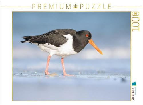 CALVENDO Puzzle Austernfischer (Oystercatcher) | 1000 Teile Lege-Größe 64 x 48 cm Foto-Puzzle für glückliche Stunden